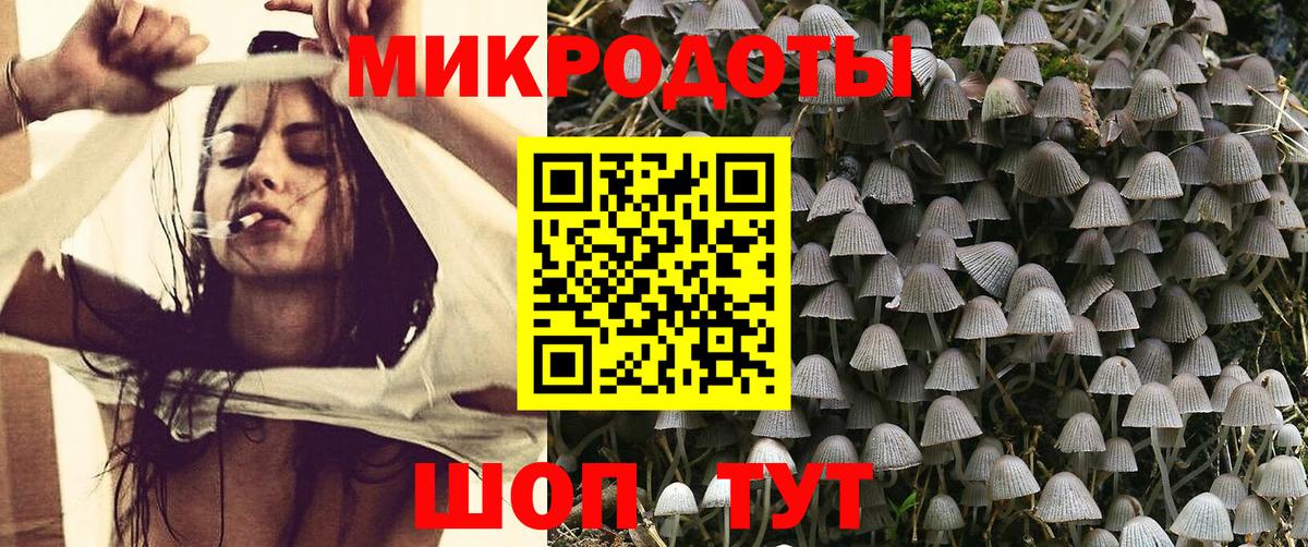 Майский  Галлюциногенные грибы Cubensis  Вход с VPN 
